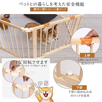 ◎たま CD６枚セット さんだる ひるね きゃべつ 犬の約束 etc（送料無料） 1027640-0.jpg